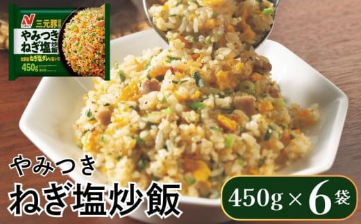 ニチレイフーズ やみつきねぎ塩炒飯 450g 6袋