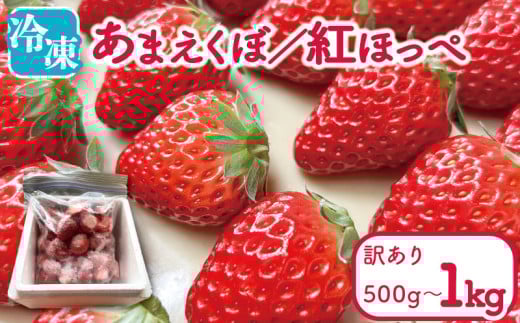 訳あり いちご 冷凍 紅ほっぺ あまえくぼ 500g / 1kg 選べる 容量 冷凍いちご 人気 果物 フルーツ 冷凍フルーツ フローズン スムージー ヨーグルト アイスクリーム 新鮮 旬 冬 春 ケーキ ショートケーキ デザート ギフト 贈り物 贈答 イチゴ 苺 ストロベリー 徳島県 吉野川市 あんいちご園