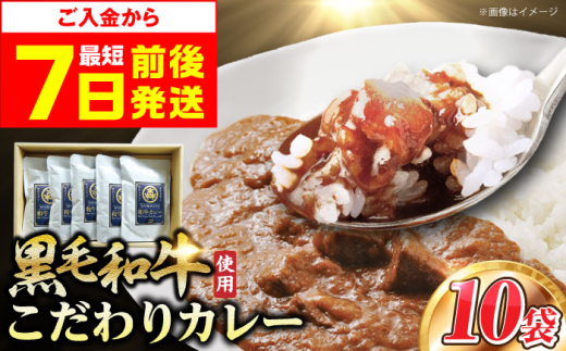 【スピード発送】モリタ屋オリジナル和牛カレー10袋 カレー レトルト 肉 お肉 和牛 大阪府高槻市/株式会社ミートモリタ屋[AOAI004] 751497 - 大阪府高槻市