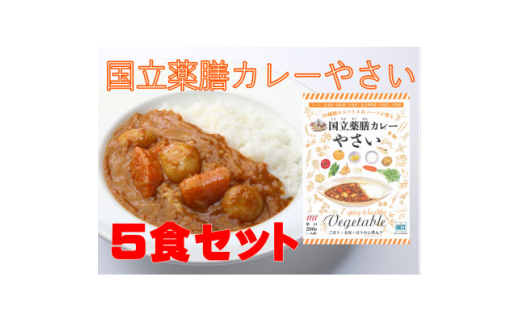 30種のスパイスを使用　国立薬膳カレーやさい　200g×5食セット　小麦粉・ラード不使用【1594565】