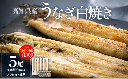 【限定100個】うなぎ 白焼き 5尾 高知県産うなぎの白焼き 100ｇ～120ｇ×5尾 - 国産 鰻 ウナギ 有頭 背開き タレ付き つまみ ご飯のお供 老舗 土佐湾 吉川水産 高知県 香南市 冷凍 yw-0085