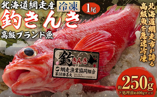 [先行予約][網走産]高級ブランド釣きんき 1尾[冷凍](2025年5月15日より順次発送) [ ふるさと納税 人気 おすすめ ランキング きんき 釣きんき キンキ 高級魚 冷凍 直送 ブランド魚 魚介 オホーツク 北海道 網走市 送料無料 ]