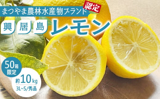  【4月上旬より発送】興居島レモン 10kg | 国産 愛媛 れもん レモン lemon 青果 フルーツ 果物 くだもの 期間限定 数量限定 人気 おすすめ 愛媛県 松山市 ブランド 興居島 送料無料 