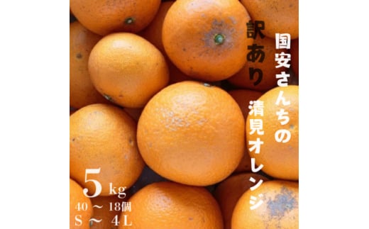 ＜まるで食べるジュース!越冬完熟品＞愛媛産 訳あり 清見オレンジ 5kg＜C20-33＞【1594859】 1999998 - 愛媛県八幡浜市