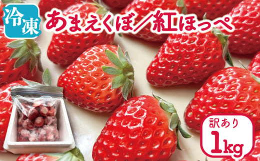 いちご 冷凍 紅ほっぺ あまえくぼ 1kg 冷凍いちご 人気 果物 フルーツ 冷凍フルーツ フローズン スムージー ヨーグルト アイスクリーム 新鮮 旬 冬 春 ケーキ ショートケーキ デザート ギフト 贈り物 贈答 イチゴ 苺 ストロベリー 徳島県 吉野川市 あんいちご園