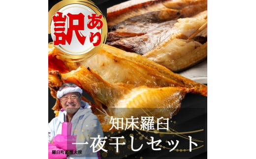 訳あり 知床羅臼町厳選!きんき(400g×1枚)ホッケ(300g×1枚)セット