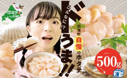【訳あり】大人気 ！ホタテ 訳あり TVで話題 ほたて といえば 別海町 冷凍 帆立 小粒 500g 約25～40玉前後 （ ホタテ 帆立 貝柱 北海道 野付 別海町 訳ありホタテ 訳あり ふるさとチョイス ふるさと納税 仕組み キャンペーン 限度額 計算 ランキング やり方 シミュレーション チョイス チョイスマイル ）