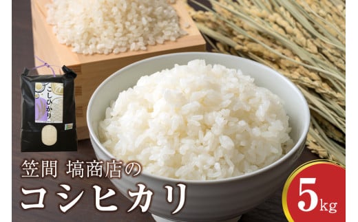 令和6年度産 笠間 塙商店の コシヒカリ 5kg 1999401 - 茨城県笠間市