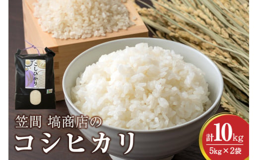 令和6年度産 笠間 塙商店の コシヒカリ 10kg（5kg×2） 1999403 - 茨城県笠間市