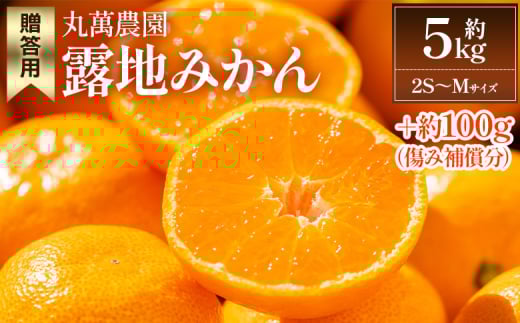 【2025年出荷分】みかん 小玉(2S～Mサイズ) 5kg 贈答用 丸萬農園 - 果物 くだもの フルーツ 果実 柑橘 かんきつ 蜜柑 みかん ミカン 期間限定 ギフト 贈り物 プレゼント お祝い 感謝 お礼 高知県 香南市 常温 1万円以上 10000円以上 お取り寄せ 小玉みかん mn-0001 1811185 - 高知県香南市