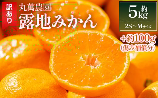 【2025年出荷分】みかん 5kg 訳あり みかん 小玉(2S～Mサイズ) 家庭用 丸萬農園 - 果物 くだもの フルーツ 果実 柑橘 かんきつ 蜜柑 みかん ミカン 果汁 期間限定 訳あり 訳アリ キズ 傷 高知県 香南市 常温 1万円以上 10000円以上 お取り寄せ 小玉みかん mn-0004 1811182 - 高知県香南市