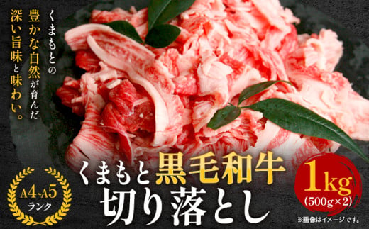 牛肉 A4～A5等級 黒毛和牛 切り落とし くまもと黒毛和牛 切り落とし 1kg 《30日以内に出荷予定(土日祝除く)》 牛肉 くまもと黒毛和牛 冷凍 Esprit 1999486 - 熊本県大津町