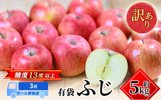 りんご 【3月クール便発送】 糖度13度以上 訳あり 家庭用 ふじ 約 5kg 【 弘前市産 青森りんご 】果物類 フルーツ 林檎 リンゴ 弘前市 青森県 おやつ デザート 2000239 - 青森県弘前市