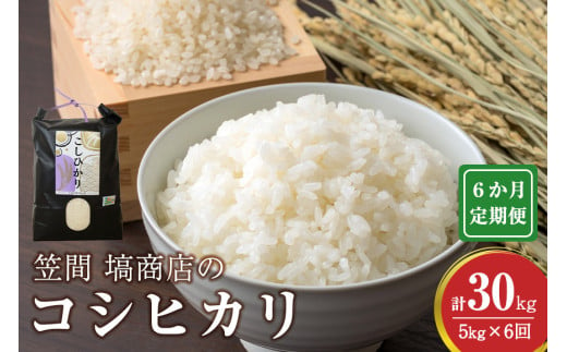 【6か月定期便】令和6年度産 笠間 塙商店の コシヒカリ 5kg×6回 計30kg 1999411 - 茨城県笠間市