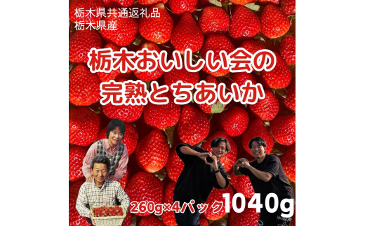 栃木おいしい会のいちご（とちあいか）260g×4パック（1040g）｜栃木県共通返礼品 栃木県産 ※離島への配送不可 ※2025年3月上旬～4月下旬頃に順次発送予定 1994369 - 栃木県さくら市