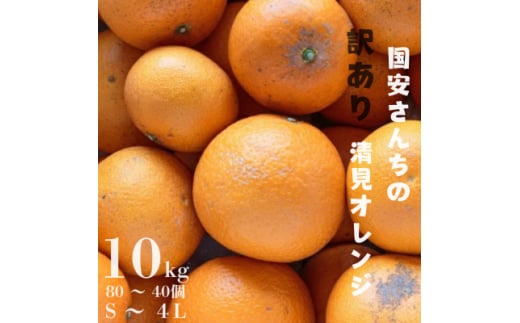 ＜まるで食べるジュース!越冬完熟品＞愛媛産 訳あり 清見オレンジ 10kg＜F20-34＞【1594861】 1999999 - 愛媛県八幡浜市