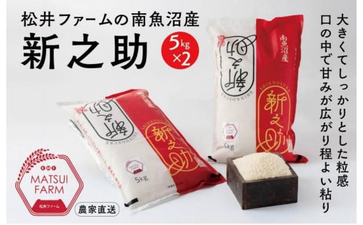 【令和7年産新米予約】【定期便】南魚沼産~新之助~(10kg×6回)【2025年10月中旬より順次発送予定】 995189 - 新潟県南魚沼市