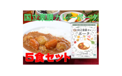 30種のスパイスを使用した国立薬膳カレーポーク　200g×5食セット　小麦粉・ラード不使用【1591136】