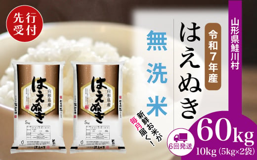 ＜令和7年産米先行受付＞ 鮭川村 はえぬき 【無洗米】 定期便 60kg （10kg×1ヶ月間隔で6回お届け）＜配送時期選べます＞ 1999478 - 山形県鮭川村