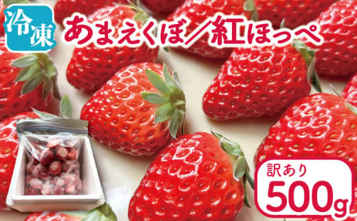 訳あり いちご 冷凍 紅ほっぺ あまえくぼ 500g 冷凍いちご 人気 果物 フルーツ 冷凍フルーツ フローズン スムージー ヨーグルト アイスクリーム 新鮮 旬 冬 春 ケーキ ショートケーキ デザート ギフト 贈り物 贈答 イチゴ 苺 ストロベリー 徳島県 吉野川市 あんいちご園 2000480 - 徳島県吉野川市