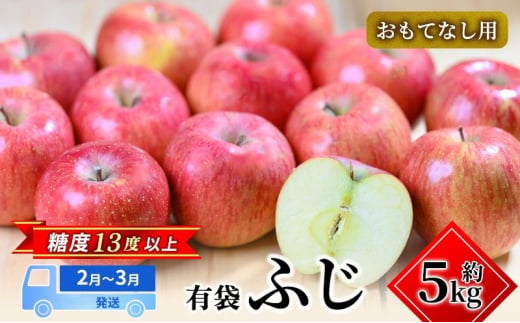 【2月～3月発送】 糖度13度以上 おもてなし用 ふじ 約 5kg 【 弘前市産 青森りんご 】果物類 フルーツ 林檎 リンゴ 弘前市 青森県 おやつ デザート 2000238 - 青森県弘前市