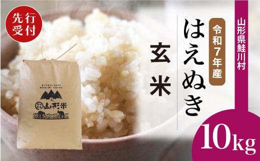 ＜令和7年産米先行受付＞ 鮭川村 はえぬき 【玄米】 10kg （10kg×1袋）＜配送時期選べます＞ 1999461 - 山形県鮭川村