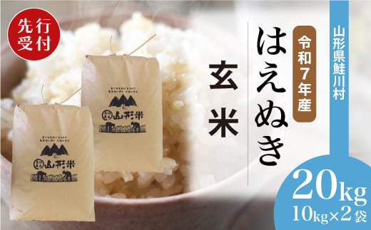 ＜令和7年産米先行受付＞ 鮭川村 はえぬき 【玄米】 20kg （10kg×2袋）＜配送時期選べます＞ 1999467 - 山形県鮭川村