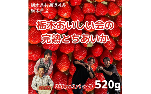 栃木おいしい会のいちご（とちあいか）260g×2パック（520g）｜栃木県共通返礼品 栃木県産 ※離島への配送不可 ※2025年3月上旬～4月下旬頃に順次発送予定 1994368 - 栃木県さくら市