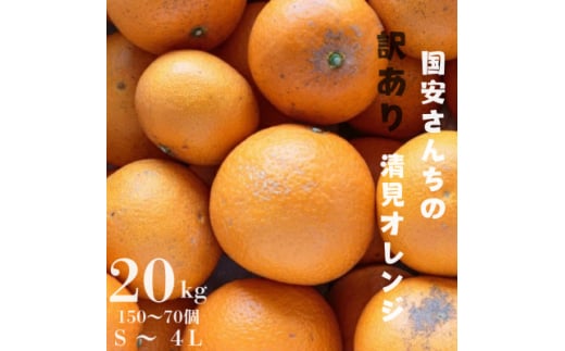 ＜まるで食べるジュース!越冬完熟品＞愛媛産 訳あり 清見オレンジ 20kg＜H20-35＞【1594863】 2000000 - 愛媛県八幡浜市