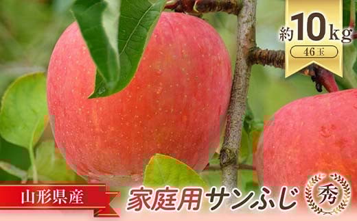 【令和6年産先行予約】 〈家庭用〉 JA りんご 「サンふじ」 約10kg (46玉 秀) 《令和6年11月中旬～12月中旬発送》 『JA山形おきたま』 林檎 リンゴ 果物 フルーツ 山形県 南陽市 [721]