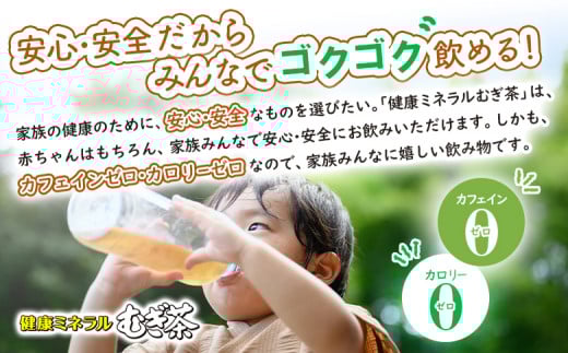 『定期便：全11回』健康ミネラルむぎ茶2L×6本