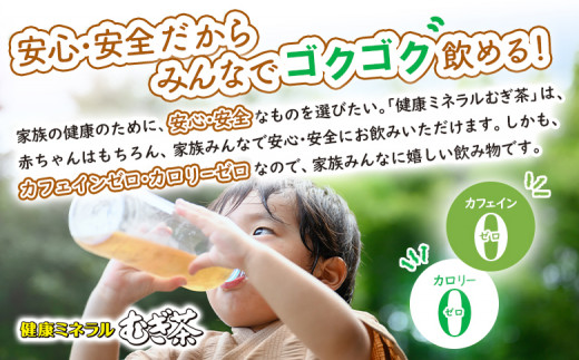 『定期便：全4回』健康ミネラルむぎ茶2L×6本×2箱