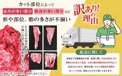 沖縄県本部町のふるさと納税 もとぶ牧場　訳あり　もとぶ牛切り落とし　1kg（500g×2P） 切落し すき焼き 煮込み カレー 沖縄 オススメ おすすめ 人気 ブランド 和牛 県産和牛 黒毛和牛 牛肉 牛 小分け 便利 わけあり ワケアリ グルメ 1000ｇ