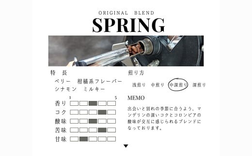 【12回定期便】【豆・粉 から選べる】 オリジナルブレンド 2種類 200g×2袋
