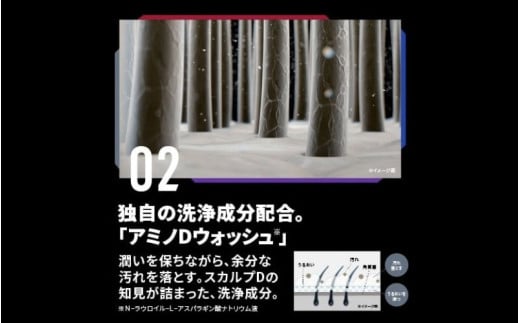 和歌山県かつらぎ町のふるさと納税 スカルプD　薬用スカルプシャンプー　ドライ [乾燥肌用]｜シャンプー メンズ 薬用 ヘアケア