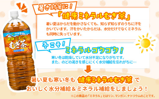 『定期便：全4回』健康ミネラルむぎ茶2L×6本×2箱