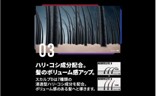 和歌山県かつらぎ町のふるさと納税 スカルプD　薬用スカルプシャンプー　ドライ [乾燥肌用]｜シャンプー メンズ 薬用 ヘアケア