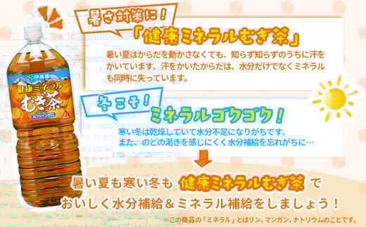 『定期便：全11回』健康ミネラルむぎ茶2L×6本