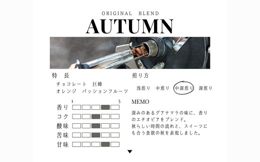 【12回定期便】【豆・粉 から選べる】 オリジナルブレンド 2種類 200g×2袋