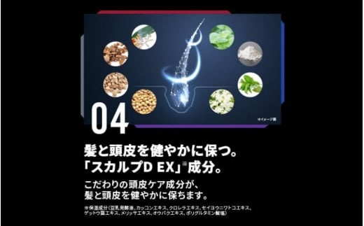 和歌山県かつらぎ町のふるさと納税 スカルプD　薬用スカルプシャンプー　ドライ [乾燥肌用]｜シャンプー メンズ 薬用 ヘアケア