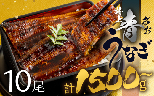 【土用の丑の日お届け/冷蔵】厳選 高級 青うなぎ 10尾 蒲焼 1500g 1746970 - 愛知県田原市