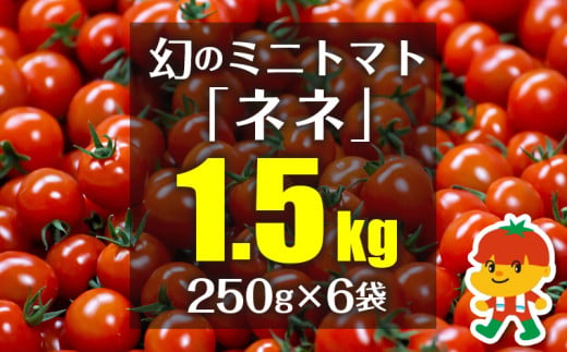 幻のミニトマト「ネネ」1.5kg（250g×6袋） 2006107 - 千葉県富津市