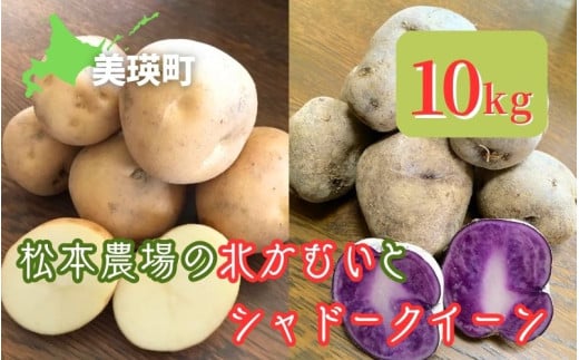 【令和７年産予約受付！】松本農場の北かむい＆シャドークイーン10kg  | 北かむい きたかむい キタカムイ シャドークイーン 秋野菜 10kg 人気 おすすめ ランキング いも 芋 イモ じゃがいも ジャガイモ 野菜[014-82] 2005201 - 北海道美瑛町