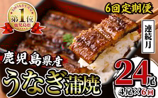 i1084-A ＜定期便・計6回(連続月)＞鹿児島県産うなぎ蒲焼4尾セット＜(約140g×4・計約560g)×全6回＞ うなぎ 鰻 ウナギ 4尾 蒲焼き 国産 鹿児島県産 焼きたて 生産量日本一 真空パック おかず 晩御飯 特別な日 土用の丑の日 丑の日 定期便 【薩摩川内鰻】 2000381 - 鹿児島県出水市