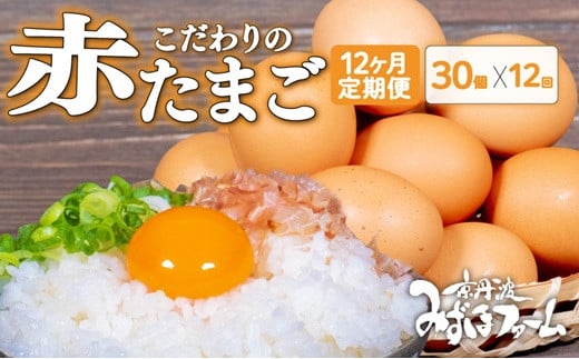 【定期便】赤たまご 30個 12回 毎月 12カ月 定期  お届け こだわり卵 たまご 濃い 玉子 セット 玉子焼き 卵焼き オムレツ 卵かけご飯 ゆで卵 鶏卵 卵黄 ※北海道・東北・沖縄・その他離島は配送不可 [076MF002R] 2010331 - 京都府京丹波町