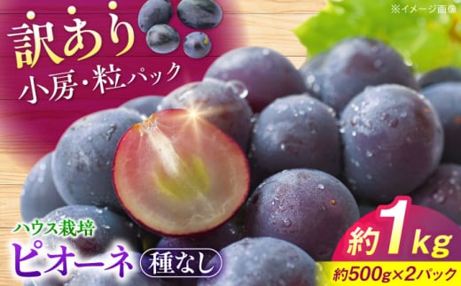 【先行予約】【8月上旬から8月末に順次発送】【訳あり】ピオーネ 約1kg（約500g×2パック）ハウス栽培 ぶどう 果物 ピオーネ フルーツ 葡萄 ブドウ 三次市/西田ぶどう園 [APCM007]