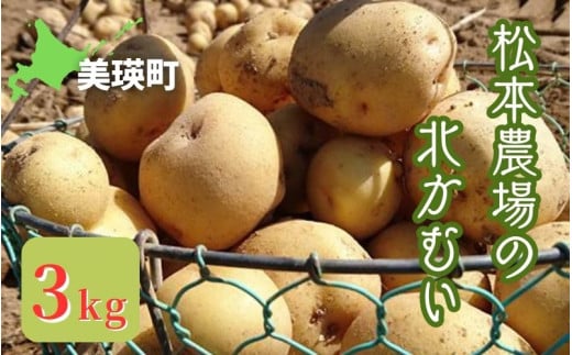 【令和７年産予約受付！】松本農場の北かむい3kg  | きたかむい キタカムイ 秋野菜 3kg 人気 おすすめ ランキング いも 芋 イモ じゃがいも ジャガイモ 野菜[0055-03] 2005209 - 北海道美瑛町