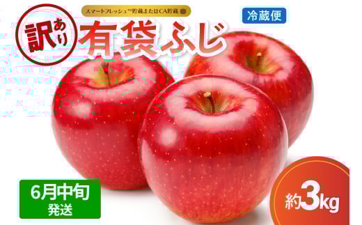 【2025年6月中旬発送】【訳あり】 りんご 有袋ふじ 3kg ( スマートフレッシュTM貯蔵 又は CA貯蔵 ・ クール便 ) 5月 6月 7月 2001682 - 青森県五所川原市