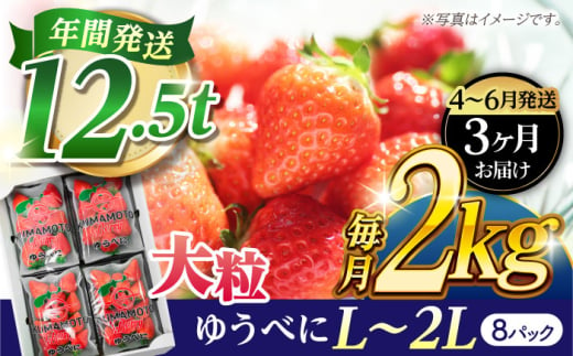 《4月より発送開始》 【3回定期便】 大粒いちご L〜2L ゆうべに 2kg（8pc）【熊本ベリー】 [ZER026]