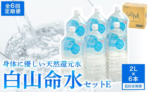 白山命水 セットE 6回定期便（ペットボトル2L×6本入り） ミネラルウォーター 国産 人気 水 白山命水 天然水 定期 定期便 2004168 - 鳥取県倉吉市